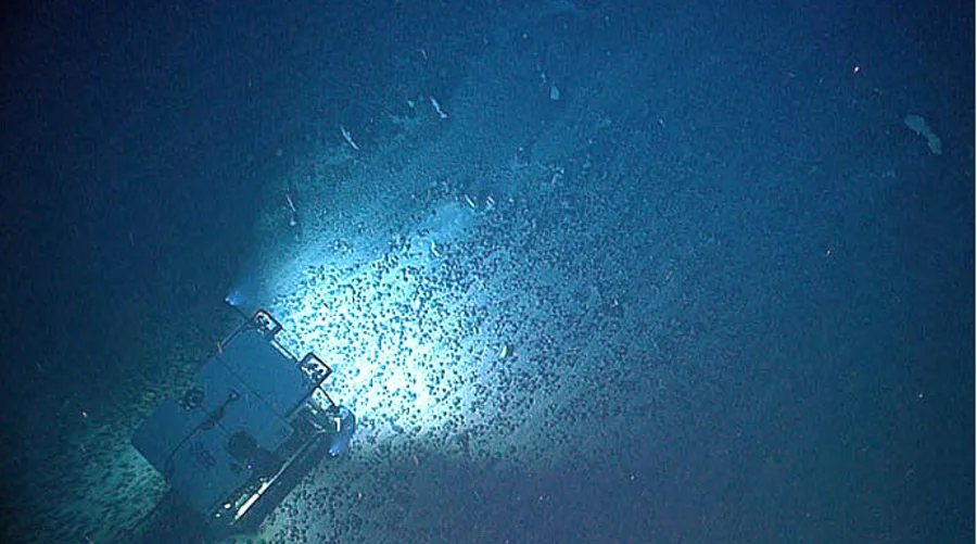ROV Deep Discoverer melintasi ladang nodul ferromangan yang luas di dasar laut