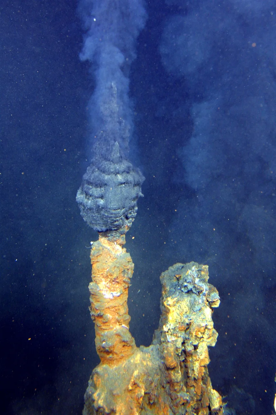 Ventilasi hidrotermal black smoker melepaskan fluida gelap berkadar mineral tinggi di dasar laut