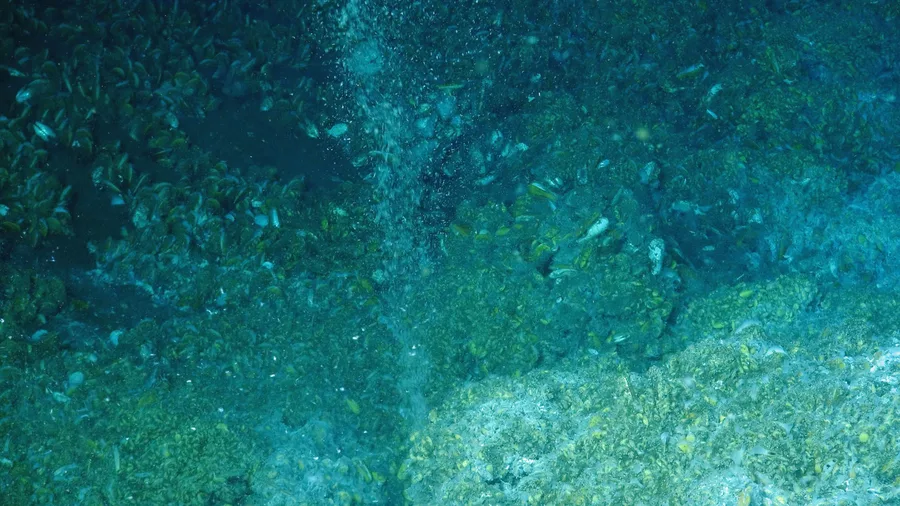 Gelembung gas metana naik dari dasar laut di Atlantic Margin AS